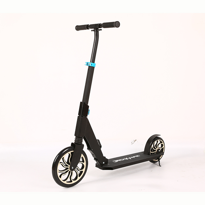 Full aluminum 2 wheel foldable scooter with 250mm front wheel